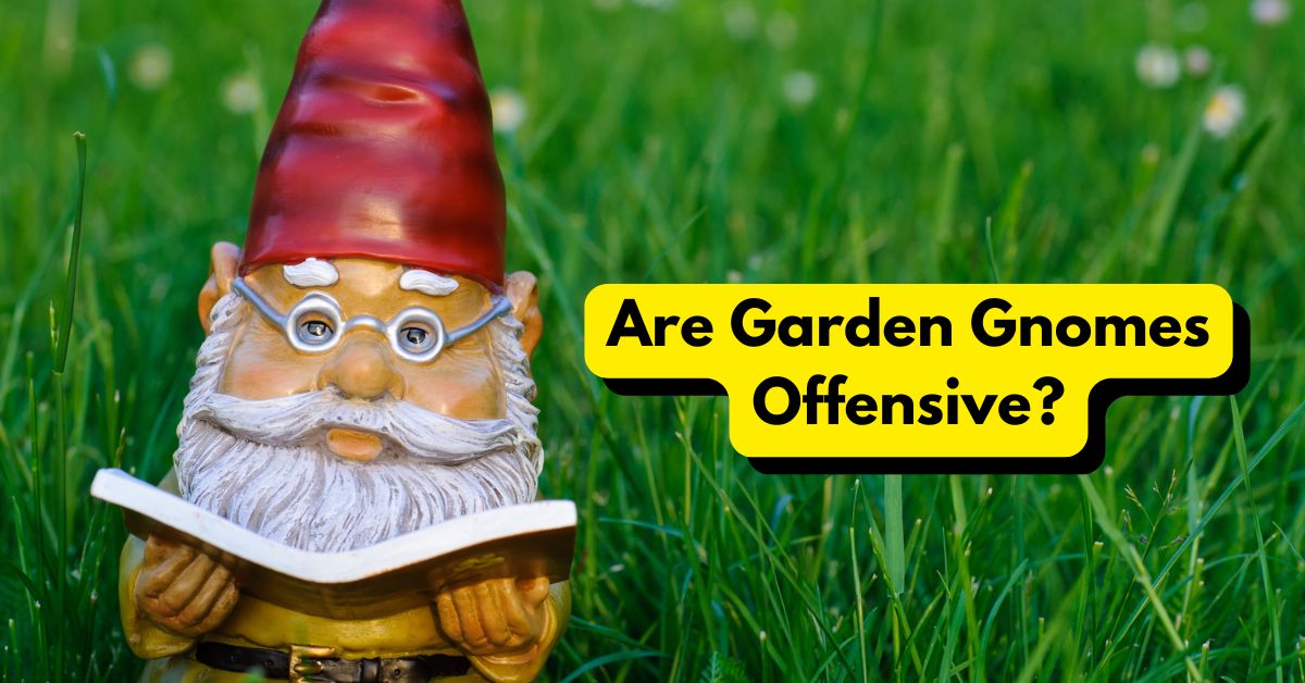 Are Garden Gnomes Offensive