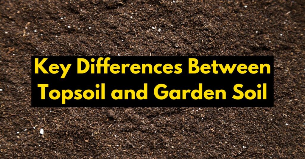 Key Differences Between Topsoil and Garden Soil