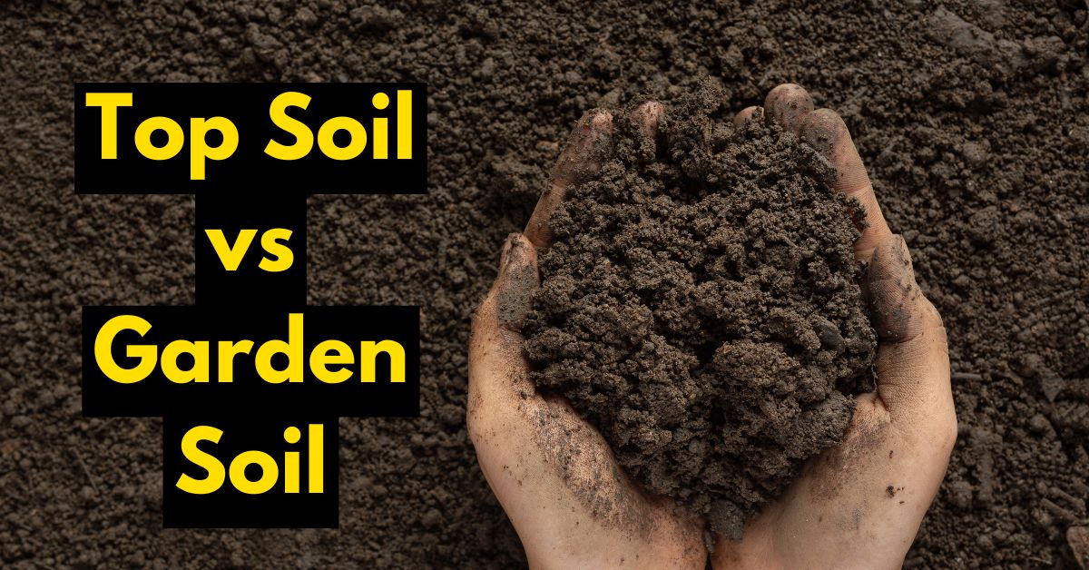 Top Soil vs Garden Soil