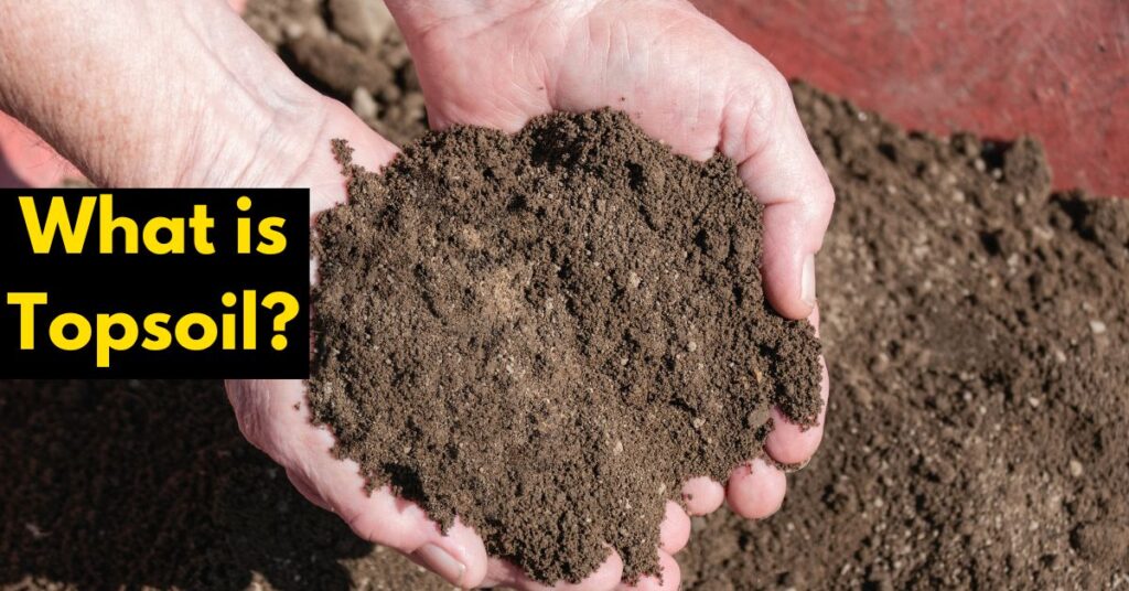 What is Topsoil?