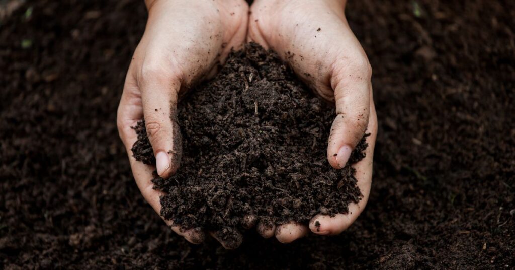 What is the Best Soil for Vegetable Gardens?